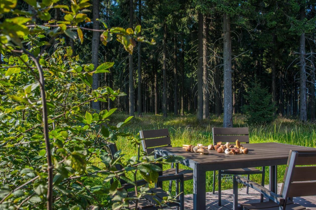 Hotel Kralovka Bedřichov Eksteriør bilde